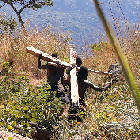 Wood Cutters Wood Cutters