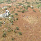 Elephant's Head Elephant's Head